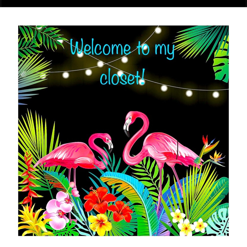 🌴✨💖⚡️🩵🦩🦚🦩🩵⚡️💖✨🌴